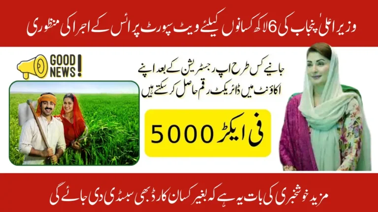 Punjab CM Approves Wheat Support Price for 600,000 Farmers via Kisan Card – Get Rs. 5,000 Per Acre Now