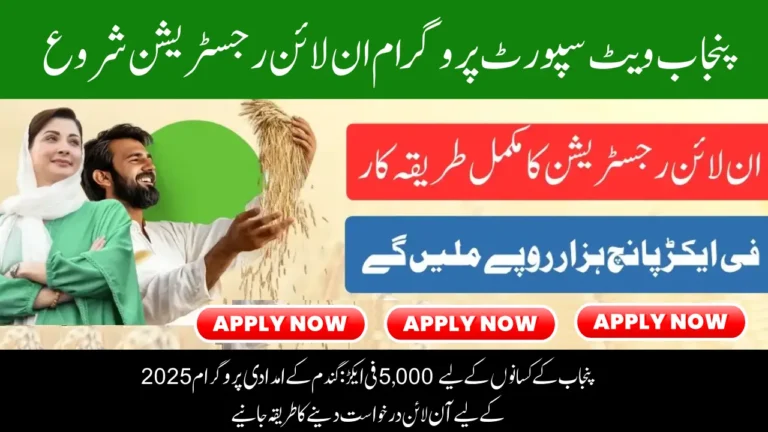 Punjab Farmers Get Rs. 5,000 Per Acre: Here’s How to Apply Online for Wheat Support Program 2025